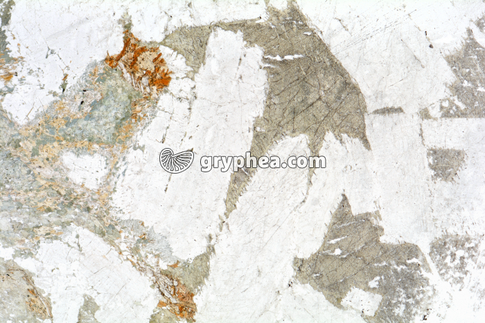 Métagabbro à Hornblende LPNA x3,5 - gryphea.com